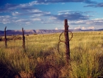 Barbed Wire - Grand Junction, CO